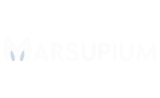 Client Logo 3